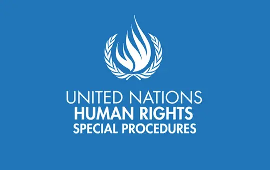 united nations human rights special.procedures