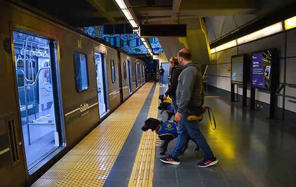 base imagen destacada notas copia