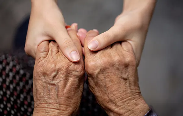 base imagen destacada notas copia