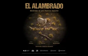 base imagen destacada notas copia